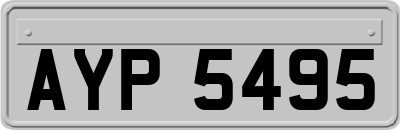AYP5495