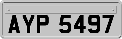 AYP5497