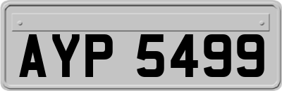 AYP5499