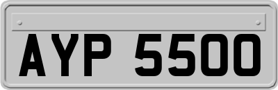 AYP5500