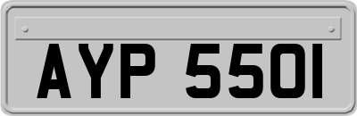 AYP5501