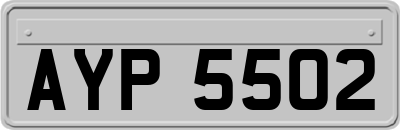 AYP5502
