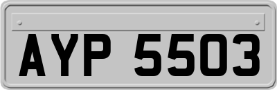 AYP5503