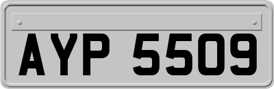 AYP5509
