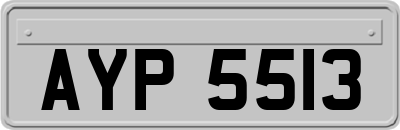 AYP5513