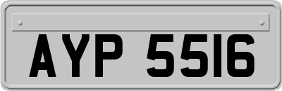 AYP5516
