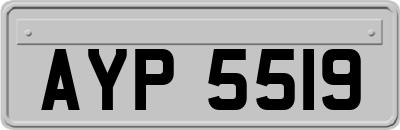 AYP5519