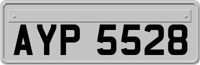 AYP5528