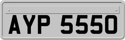 AYP5550