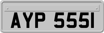 AYP5551