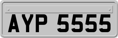 AYP5555