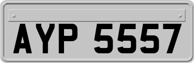 AYP5557