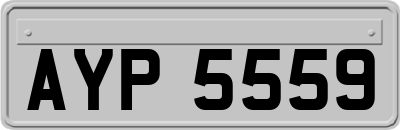 AYP5559
