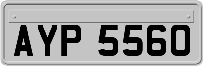 AYP5560