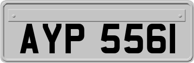 AYP5561