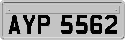 AYP5562
