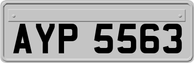 AYP5563