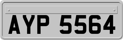 AYP5564