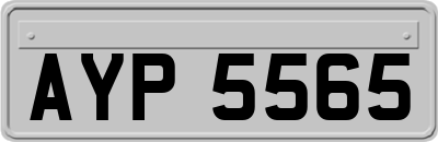 AYP5565