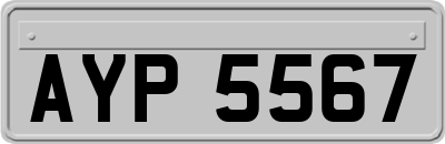 AYP5567