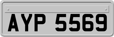 AYP5569