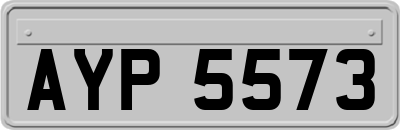 AYP5573