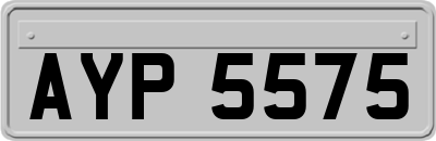 AYP5575