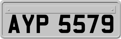 AYP5579