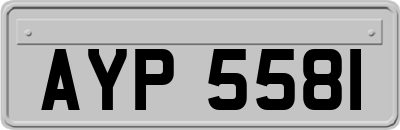 AYP5581
