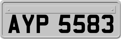 AYP5583