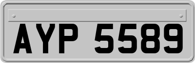 AYP5589