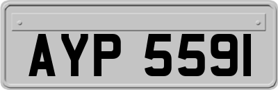AYP5591