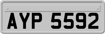 AYP5592