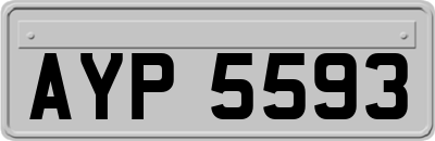 AYP5593