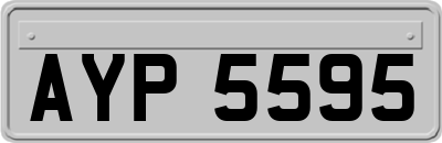 AYP5595
