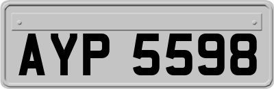 AYP5598