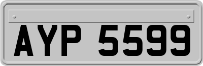 AYP5599