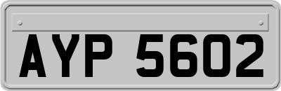 AYP5602