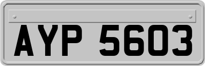 AYP5603