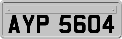 AYP5604