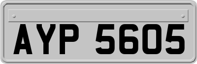 AYP5605