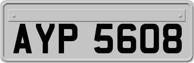AYP5608
