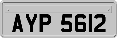 AYP5612
