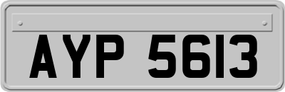 AYP5613