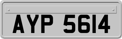 AYP5614