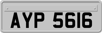 AYP5616
