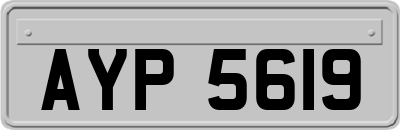 AYP5619