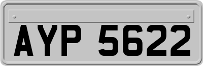 AYP5622