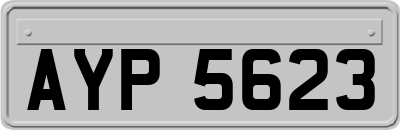 AYP5623