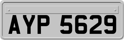 AYP5629
